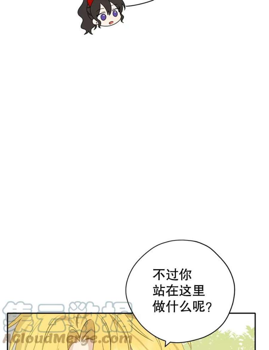 真与假的精灵师少女72.敌意