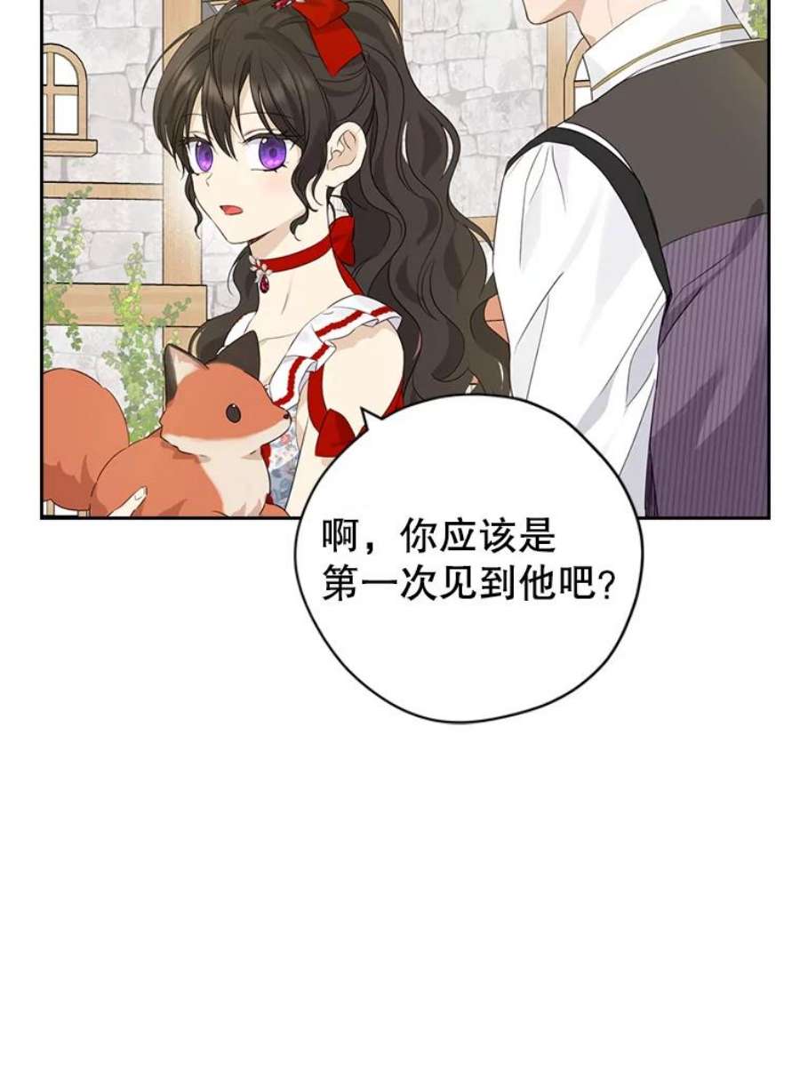 真与假的精灵师少女72.敌意