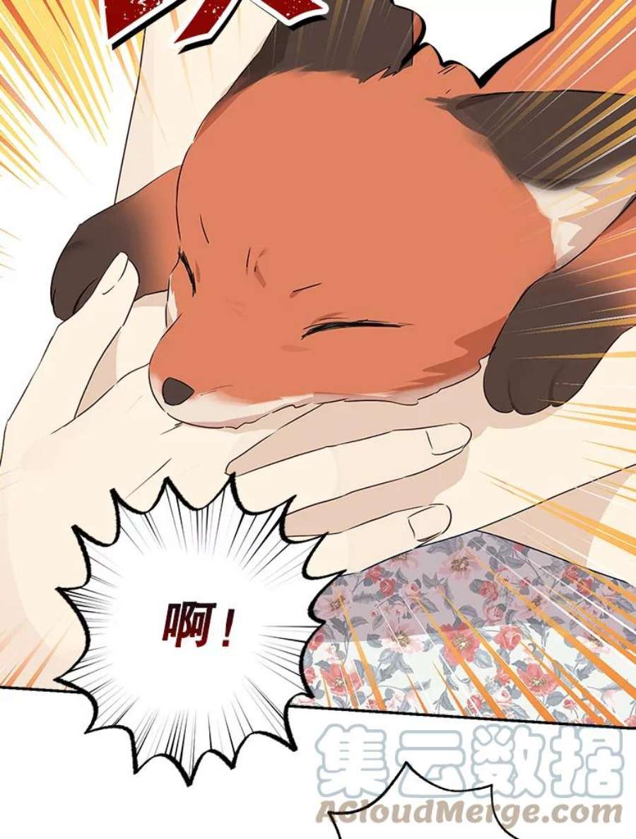 真与假的精灵师少女72.敌意