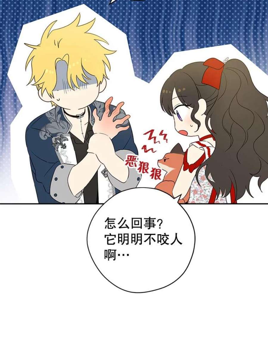 真与假的精灵师少女72.敌意