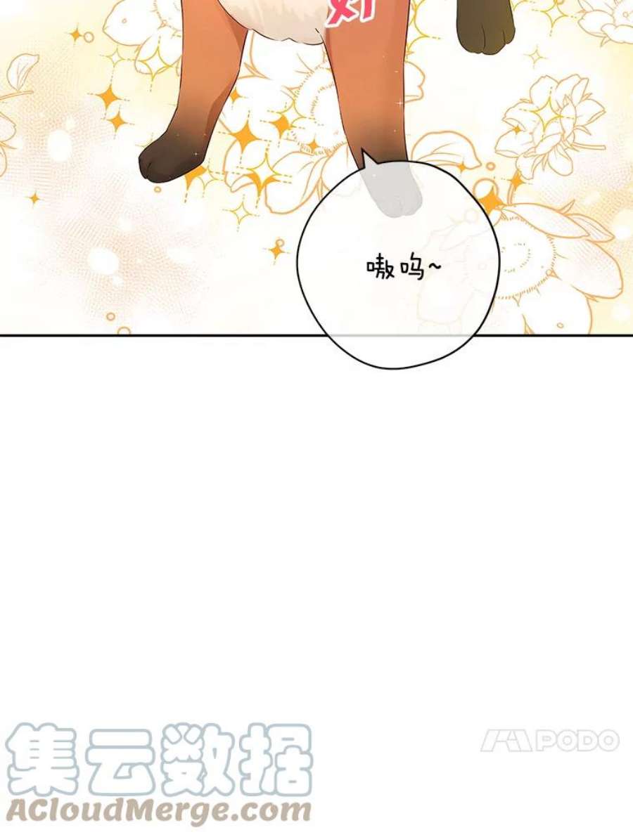 真与假的精灵师少女73.争风吃醋