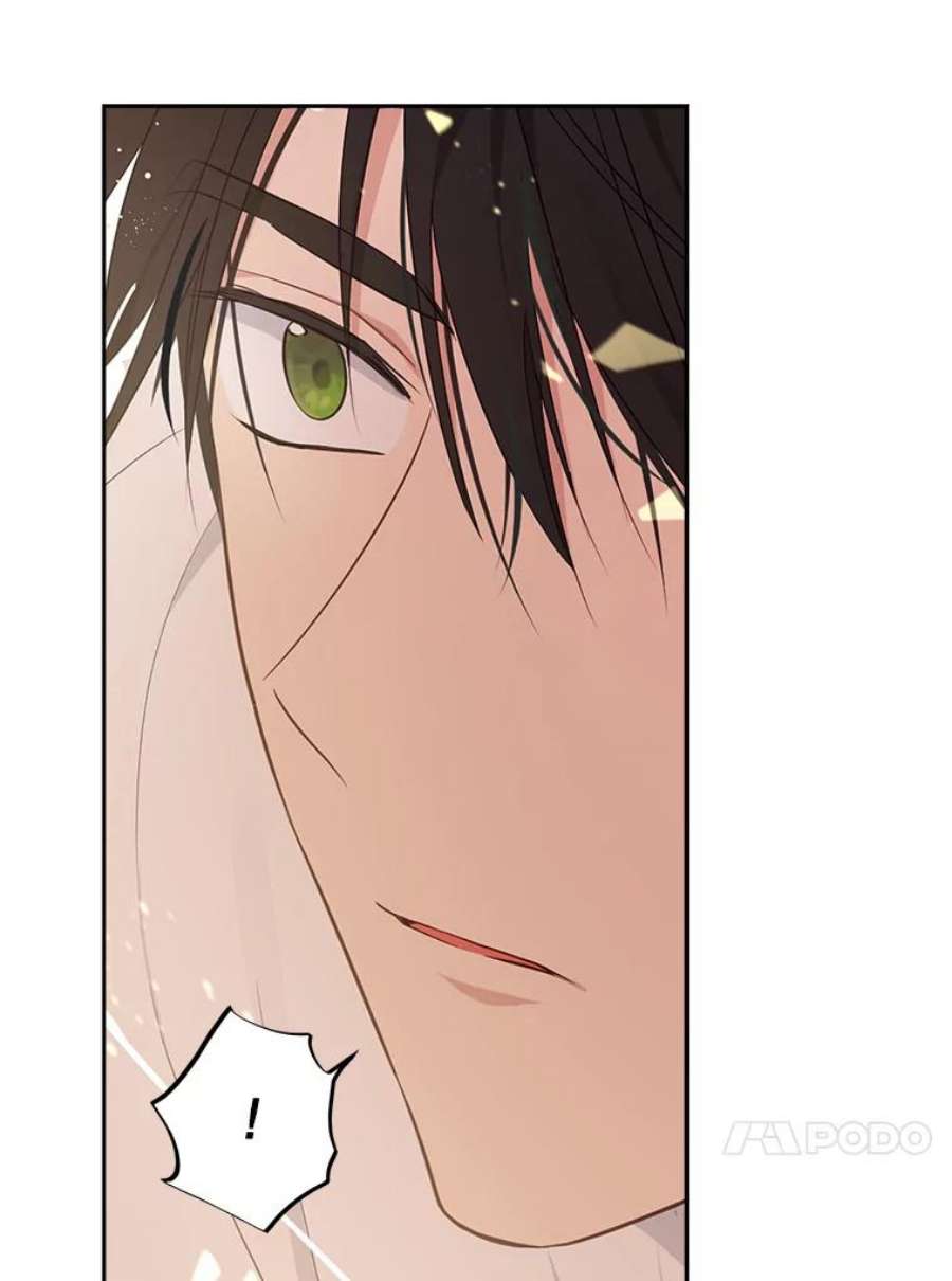 真与假的精灵师少女73.争风吃醋