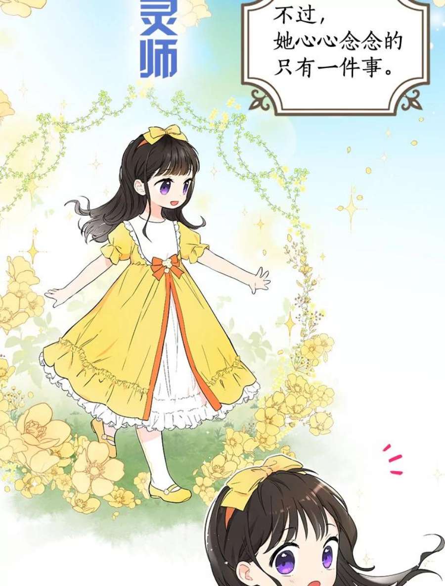 真与假的精灵师少女0.序章