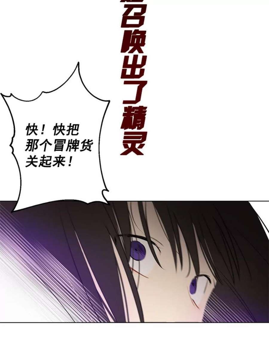 真与假的精灵师少女0.序章