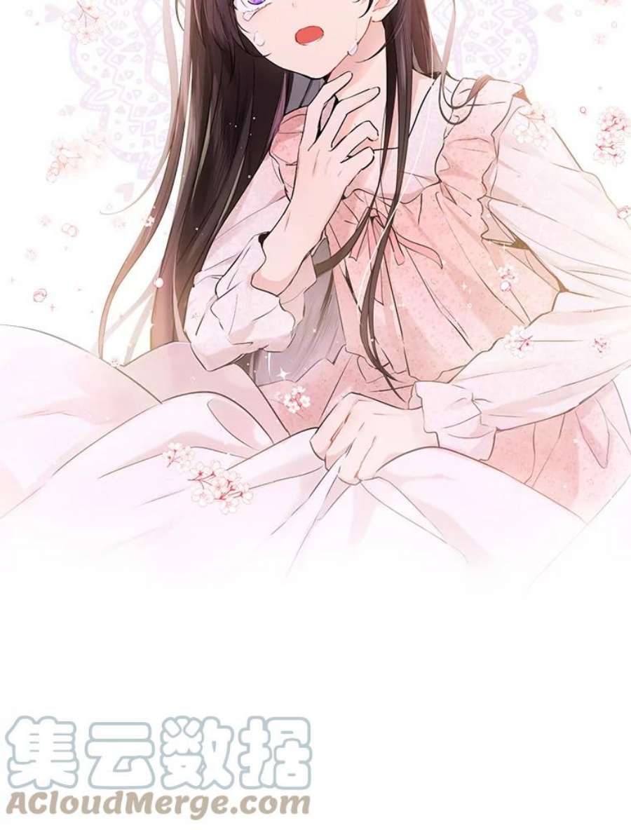 真与假的精灵师少女0.序章