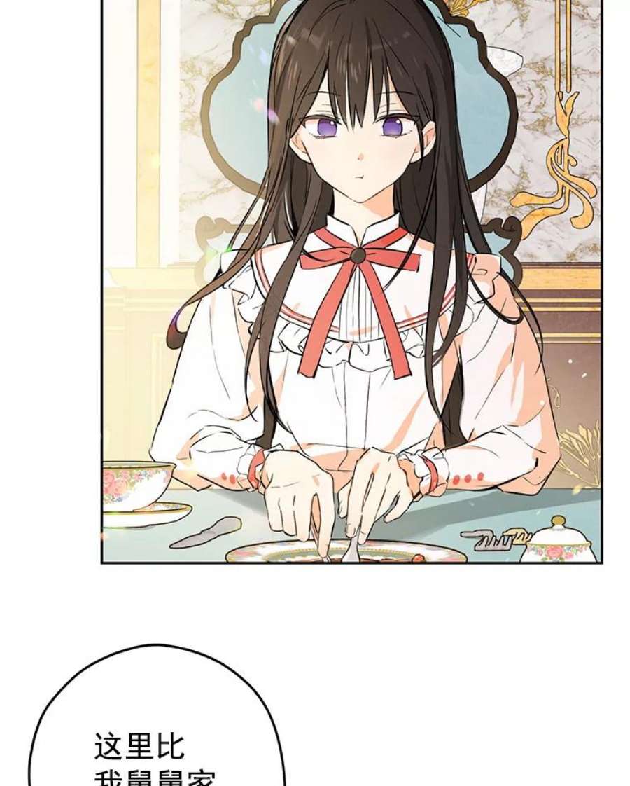 真与假的精灵师少女2.公爵的另一个女儿？！