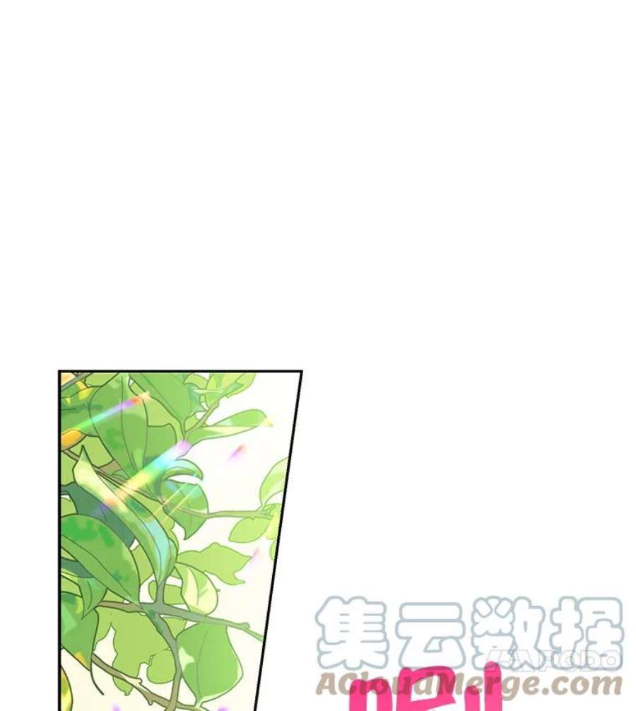 真与假的精灵师少女2.公爵的另一个女儿？！