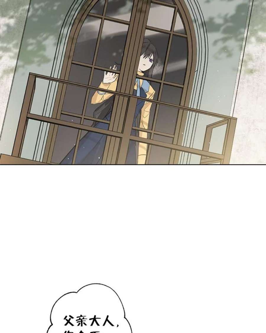 真与假的精灵师少女5.死刑