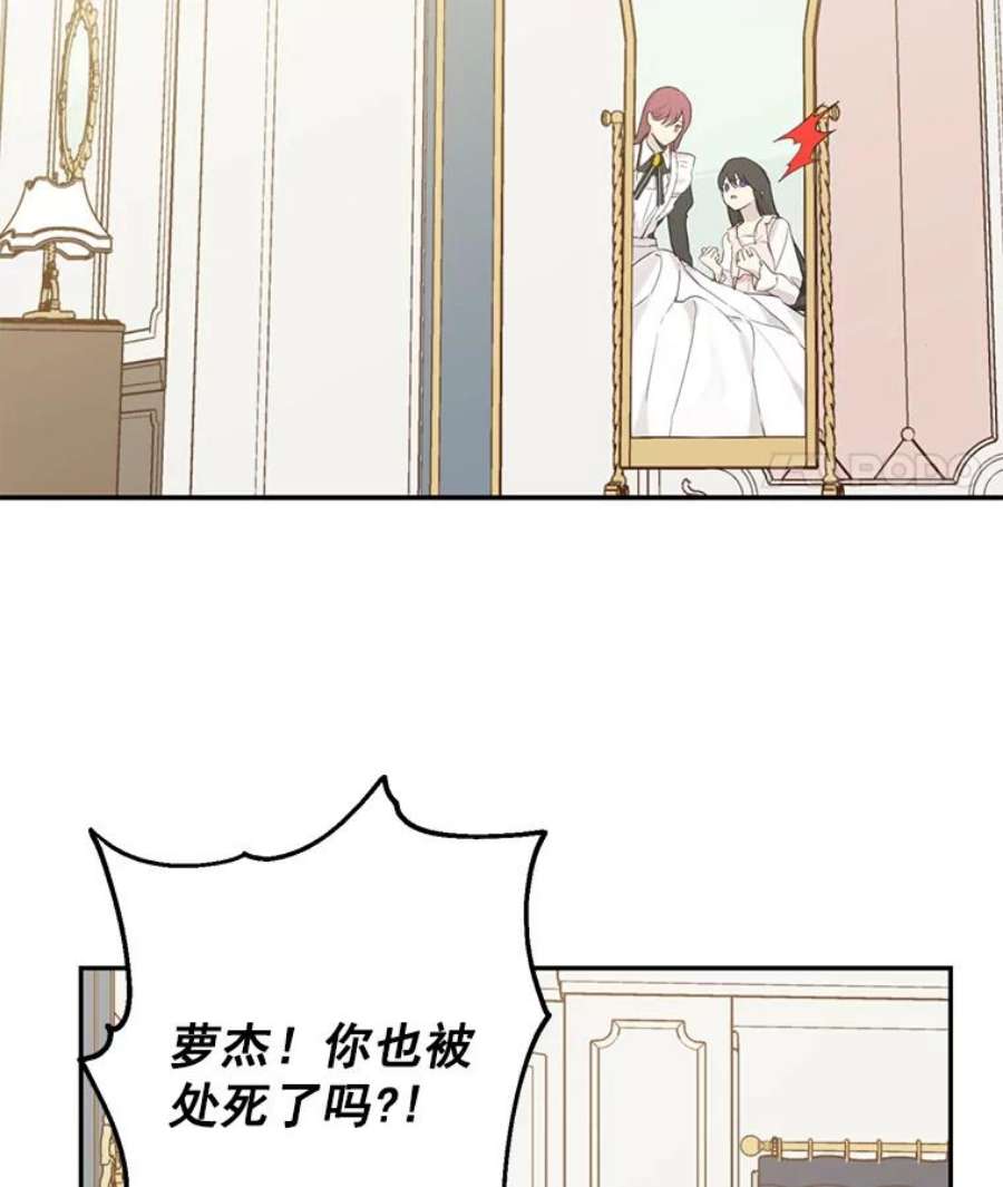 真与假的精灵师少女6.重生