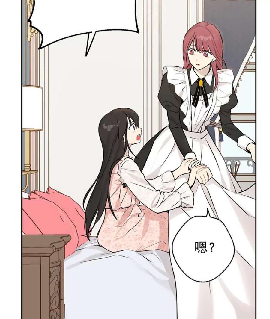 真与假的精灵师少女6.重生