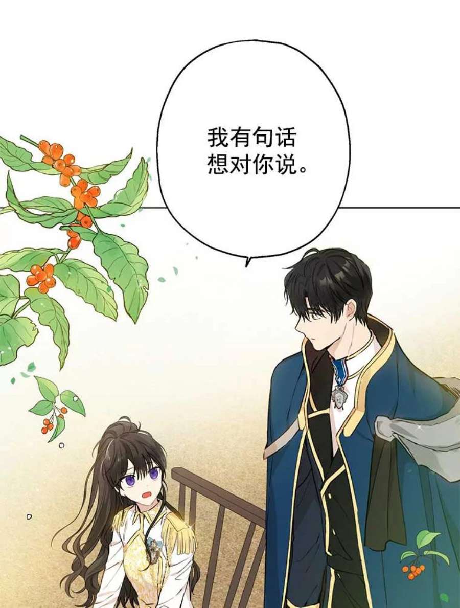 真与假的精灵师少女6.重生