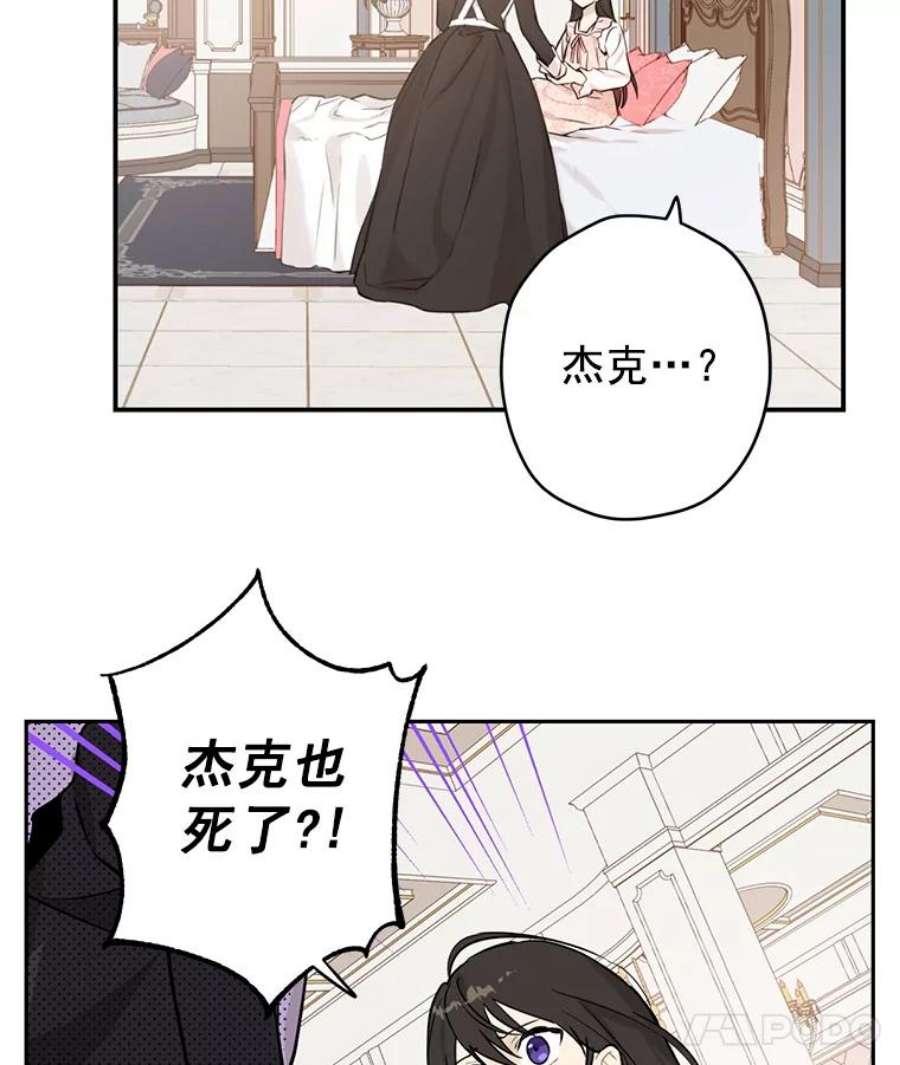 真与假的精灵师少女6.重生