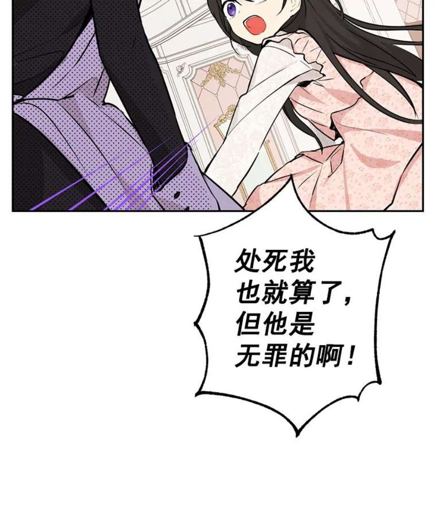 真与假的精灵师少女6.重生