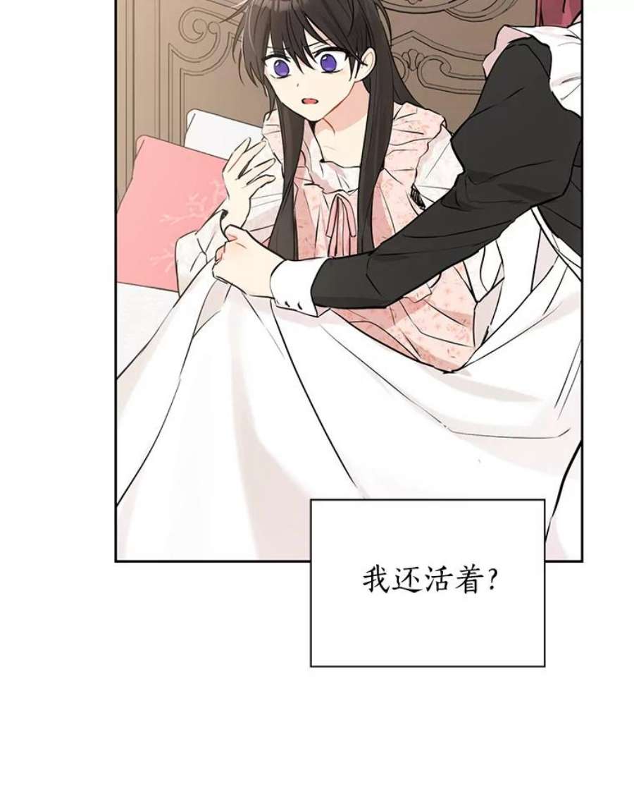 真与假的精灵师少女6.重生