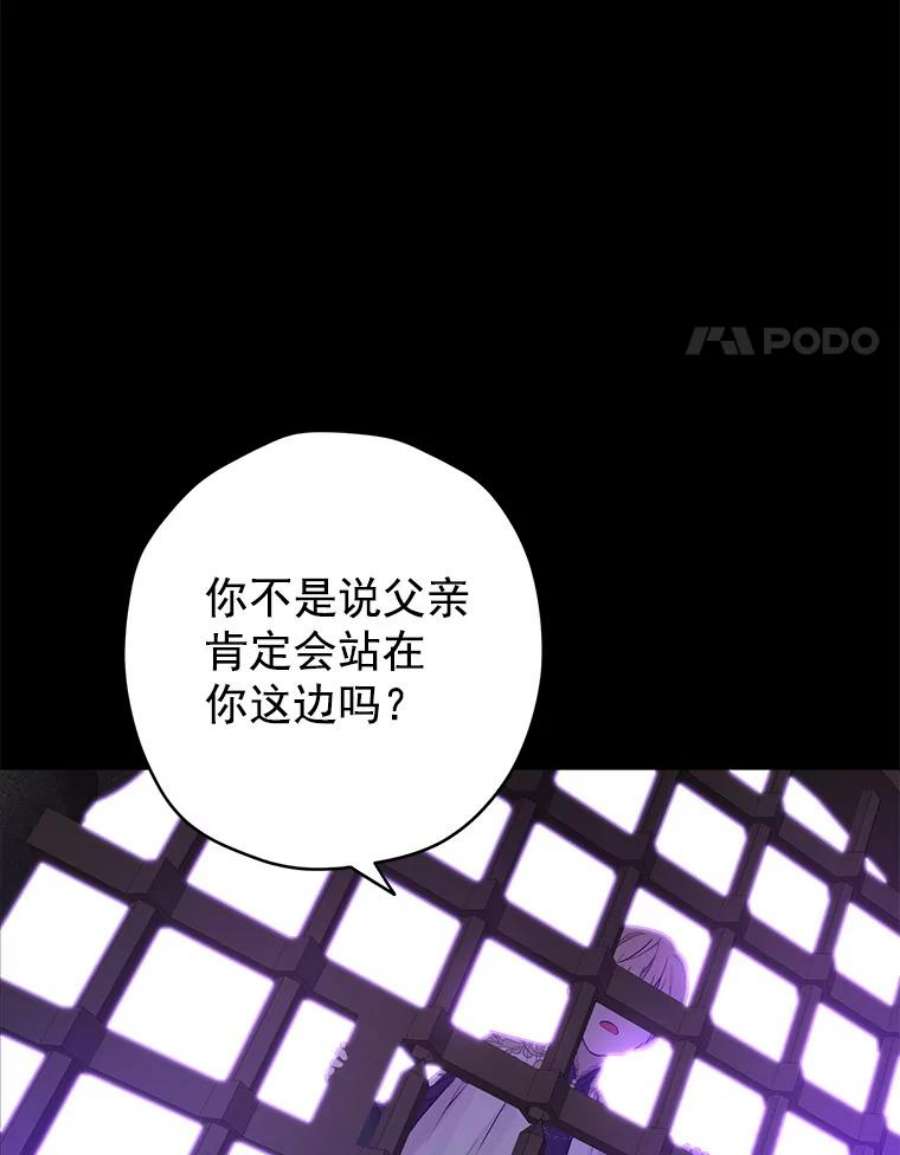 真与假的精灵师少女6.重生