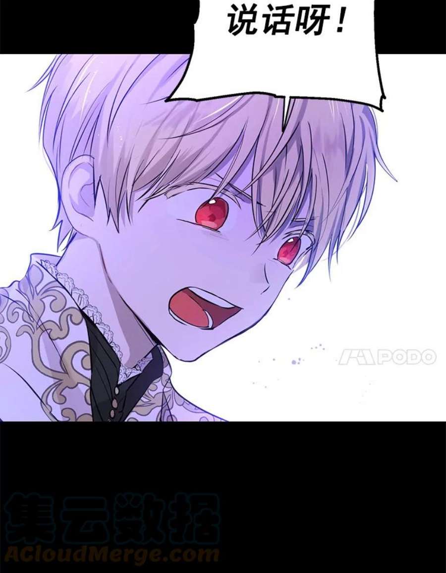 真与假的精灵师少女6.重生