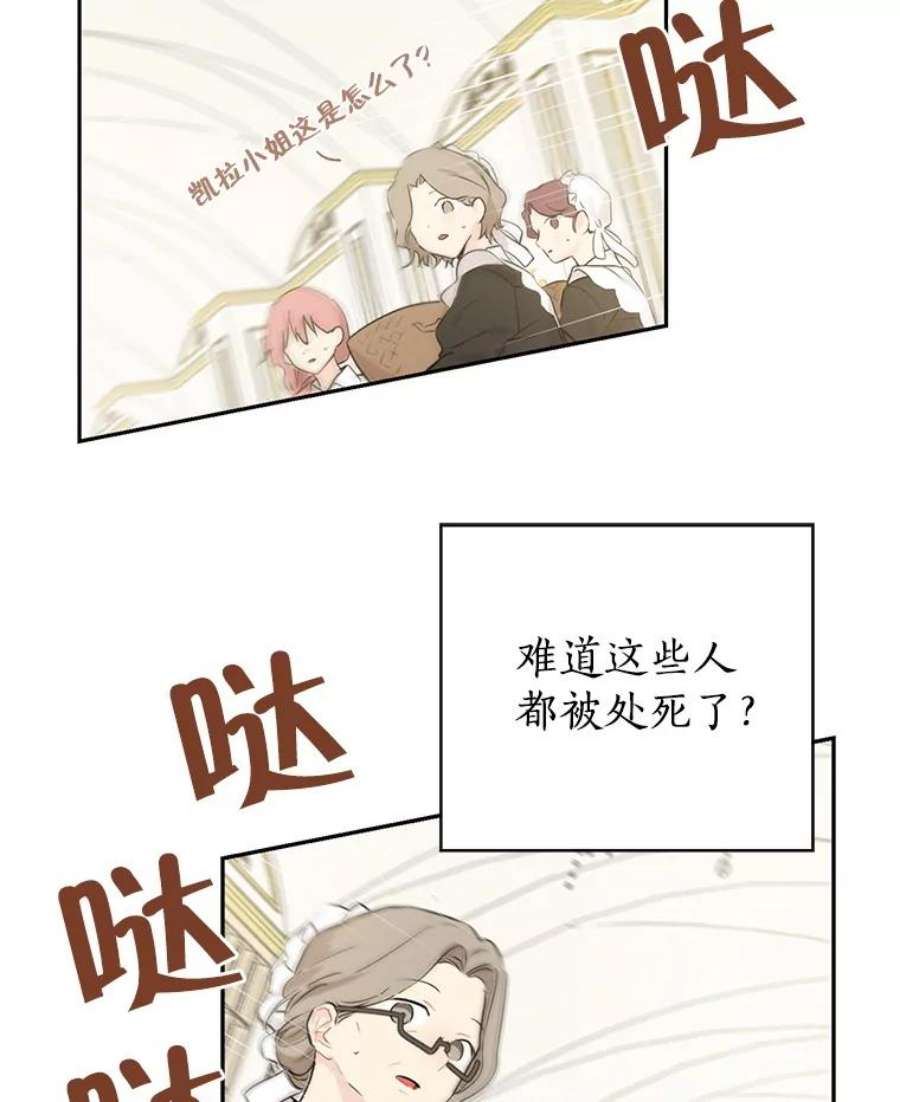 真与假的精灵师少女6.重生