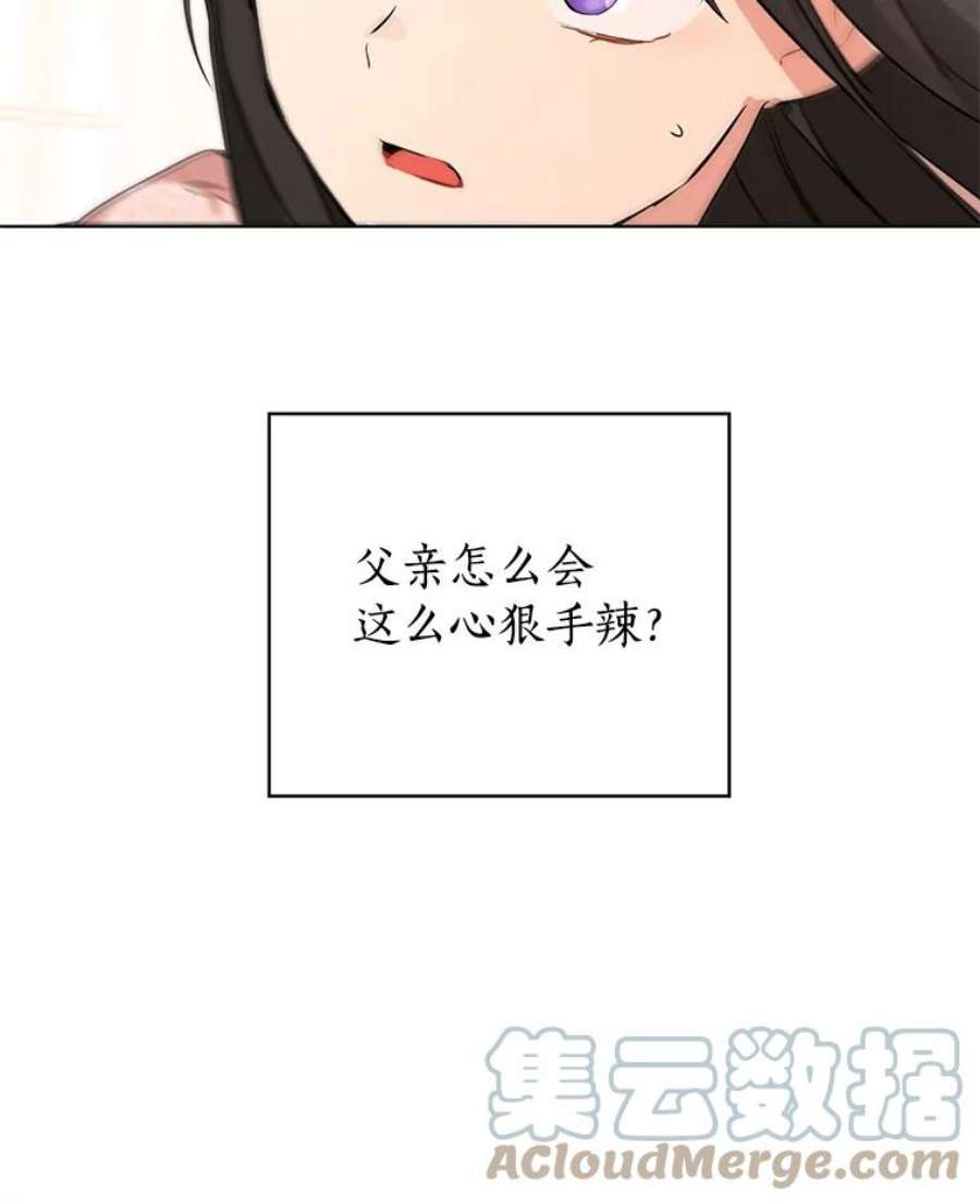 真与假的精灵师少女6.重生