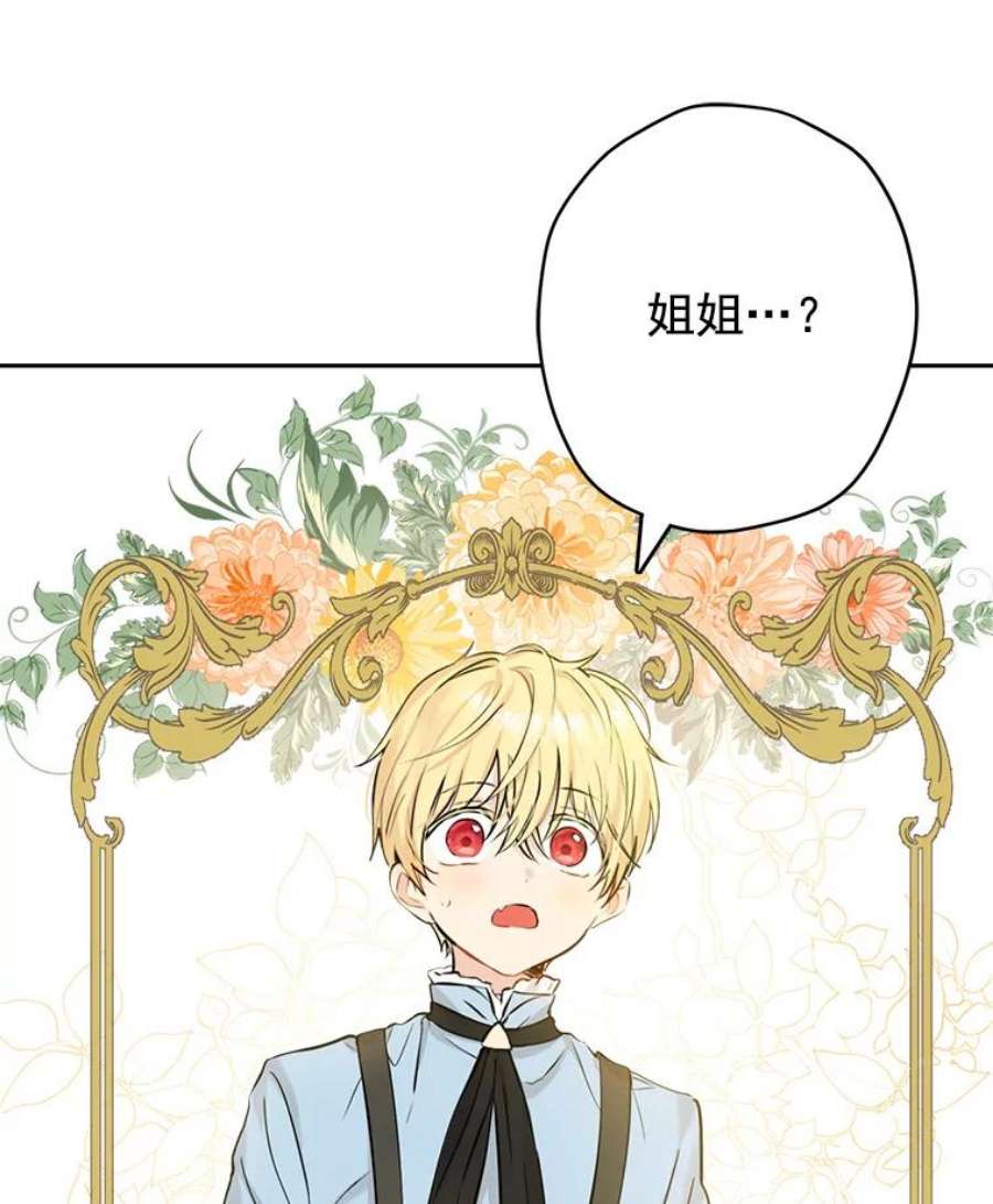 真与假的精灵师少女6.重生