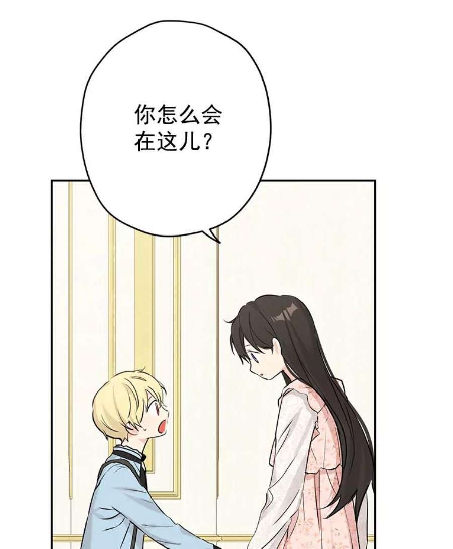 真与假的精灵师少女6.重生