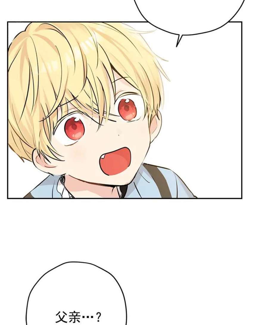 真与假的精灵师少女6.重生