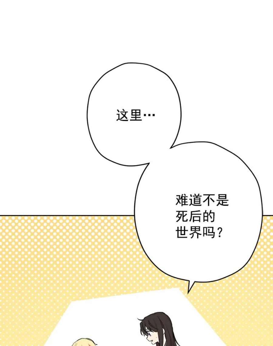 真与假的精灵师少女6.重生