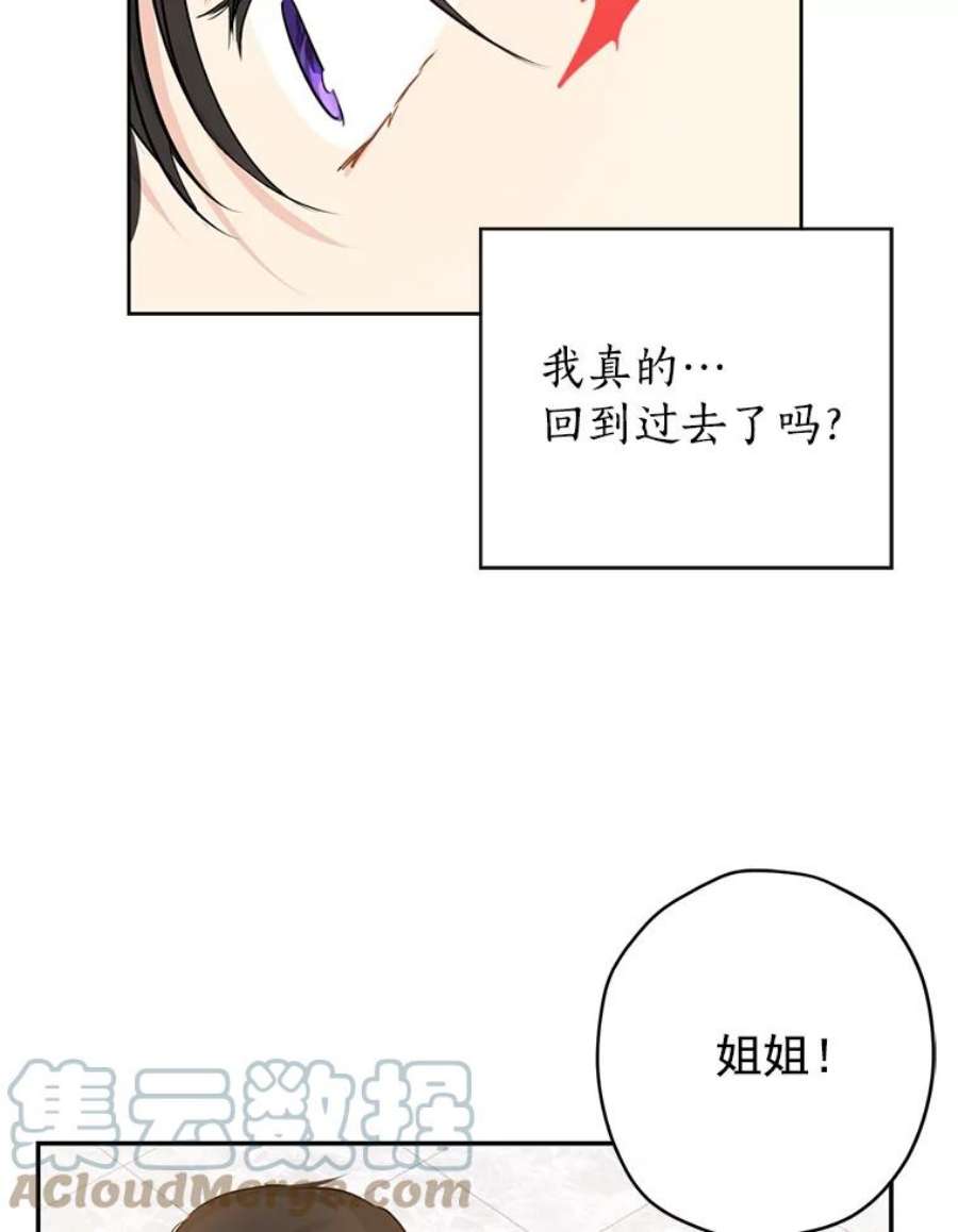 真与假的精灵师少女6.重生