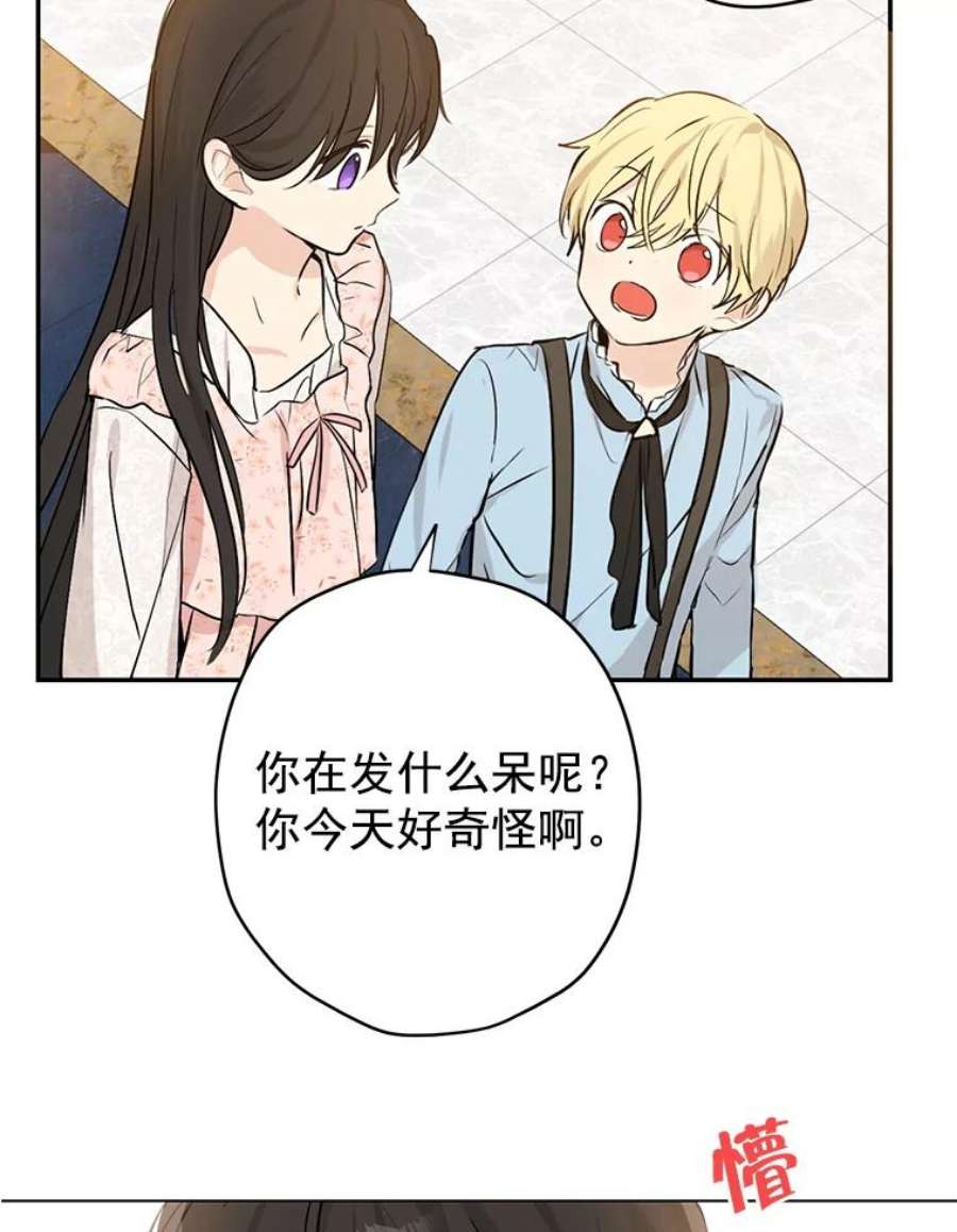 真与假的精灵师少女6.重生