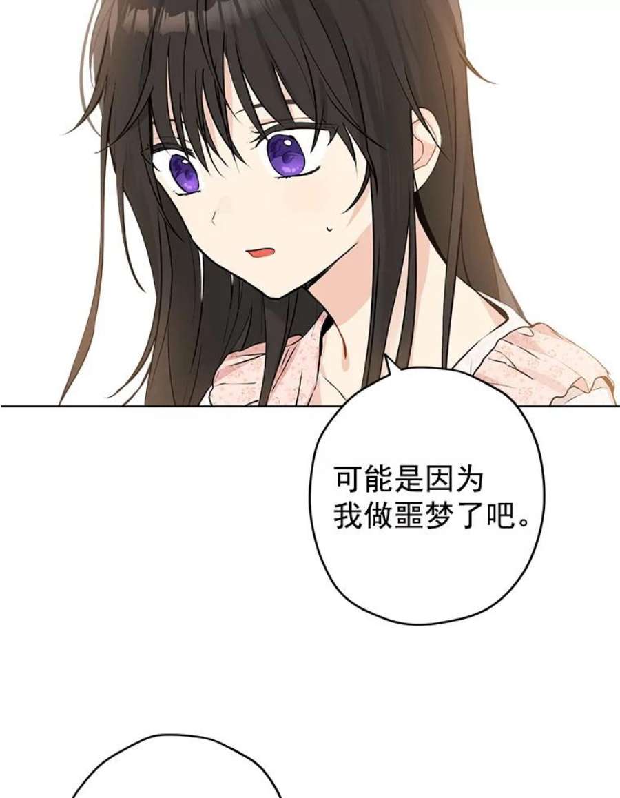 真与假的精灵师少女6.重生