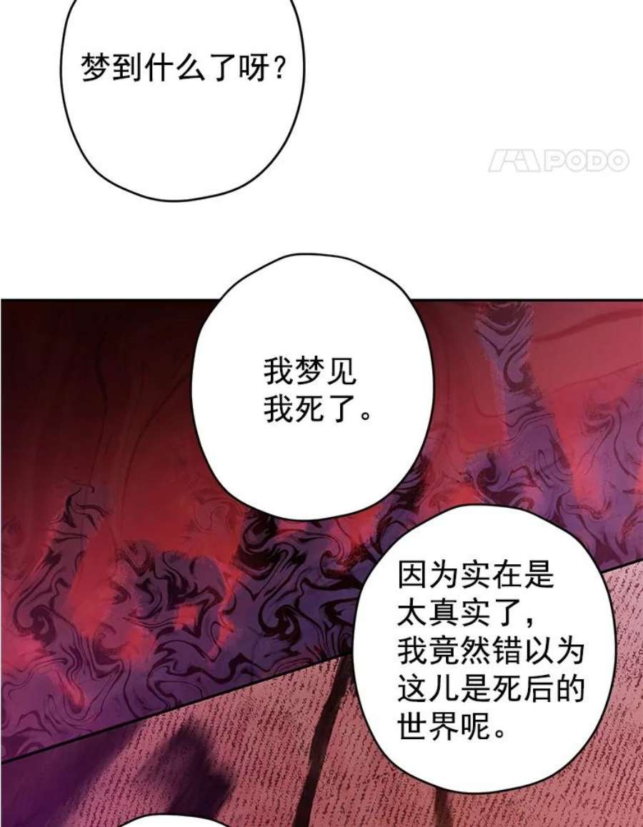 真与假的精灵师少女6.重生