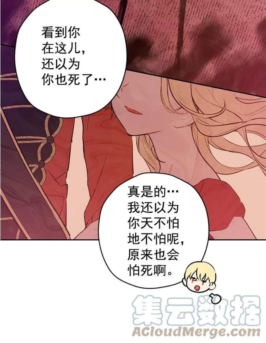 真与假的精灵师少女6.重生