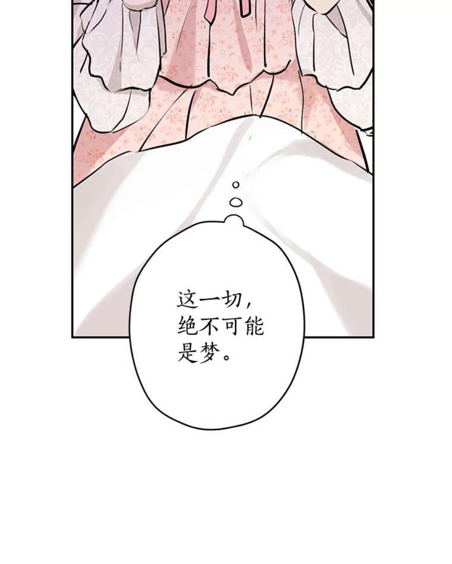 真与假的精灵师少女6.重生