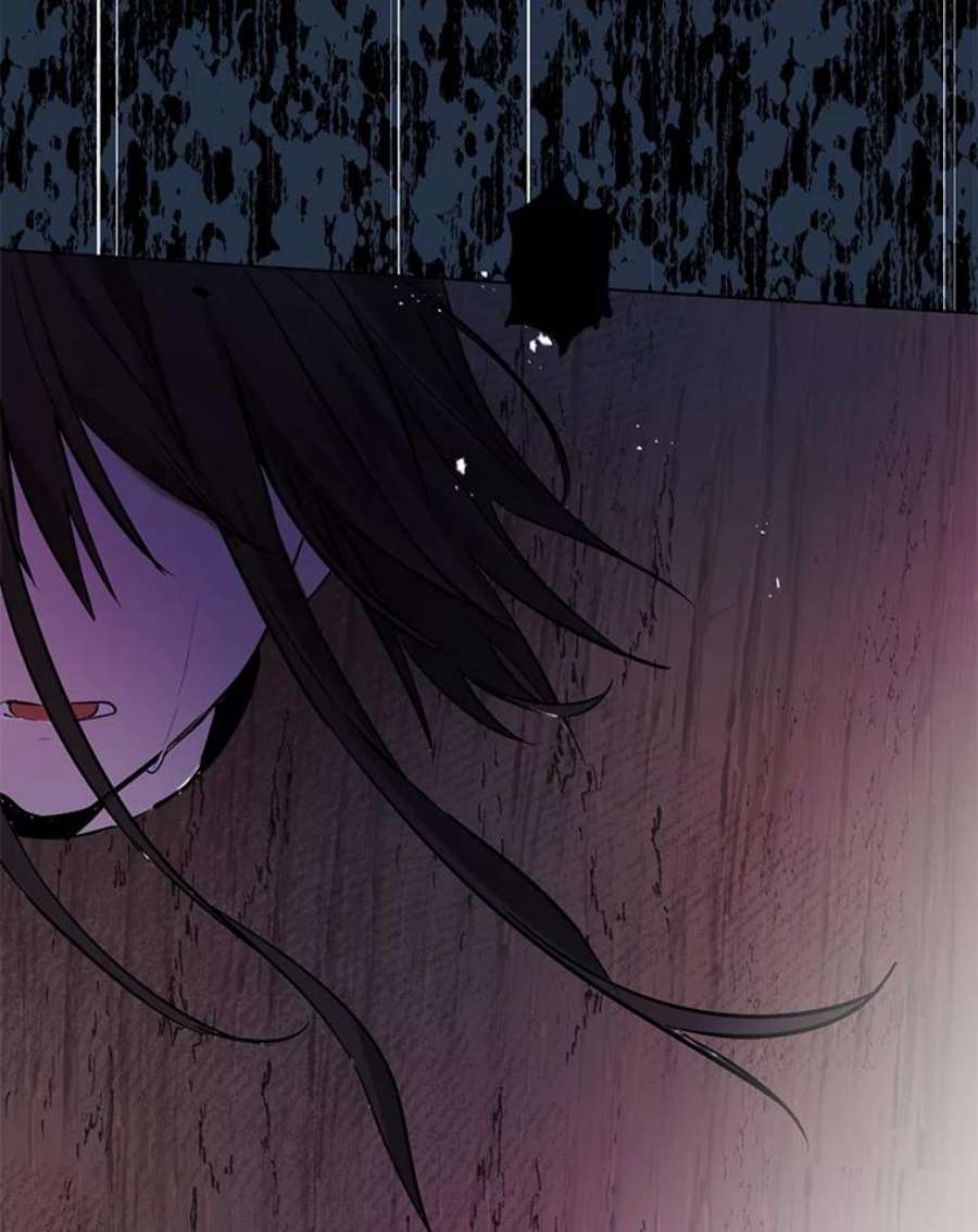 真与假的精灵师少女6.重生