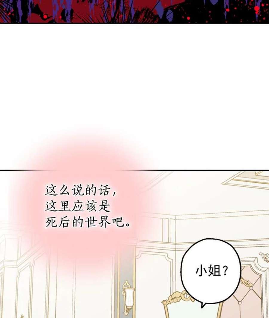 真与假的精灵师少女6.重生