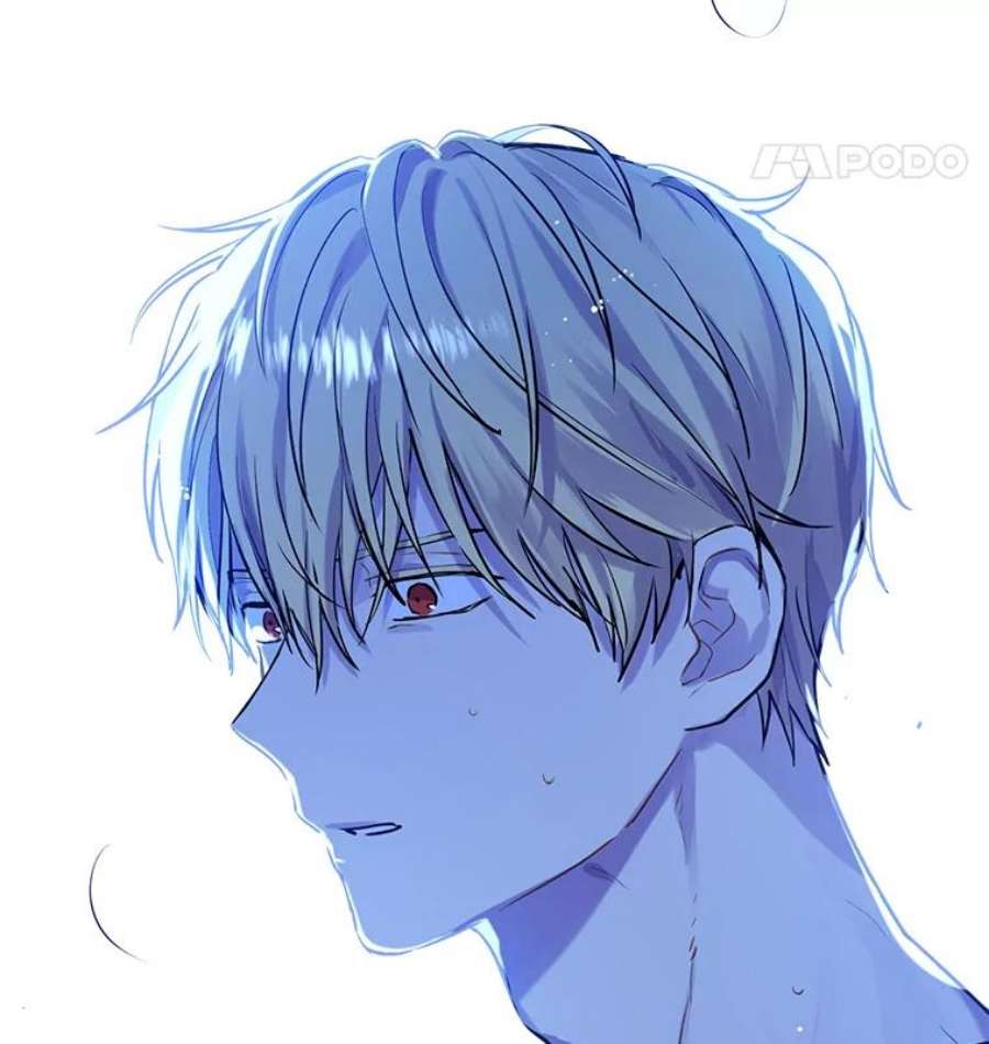 真与假的精灵师少女6.重生