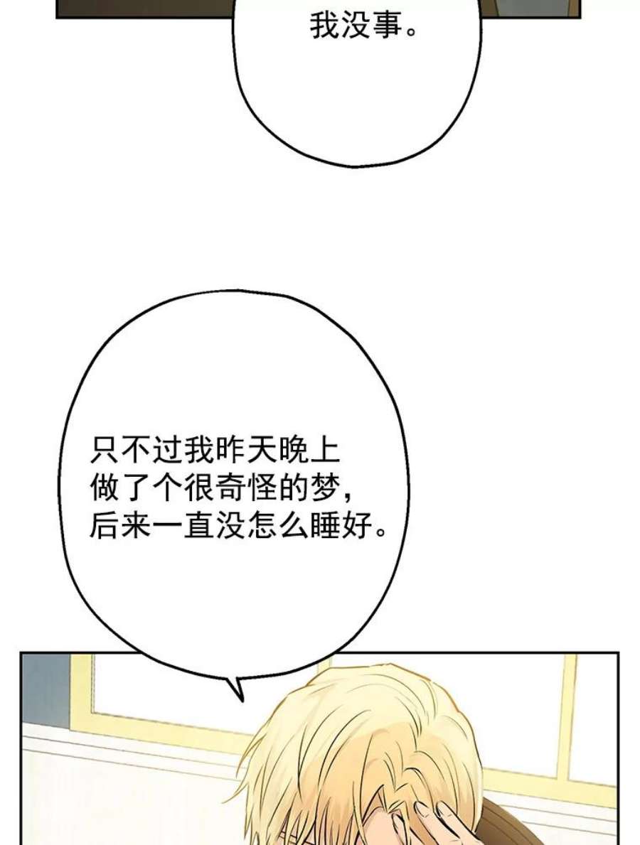 真与假的精灵师少女7.和解