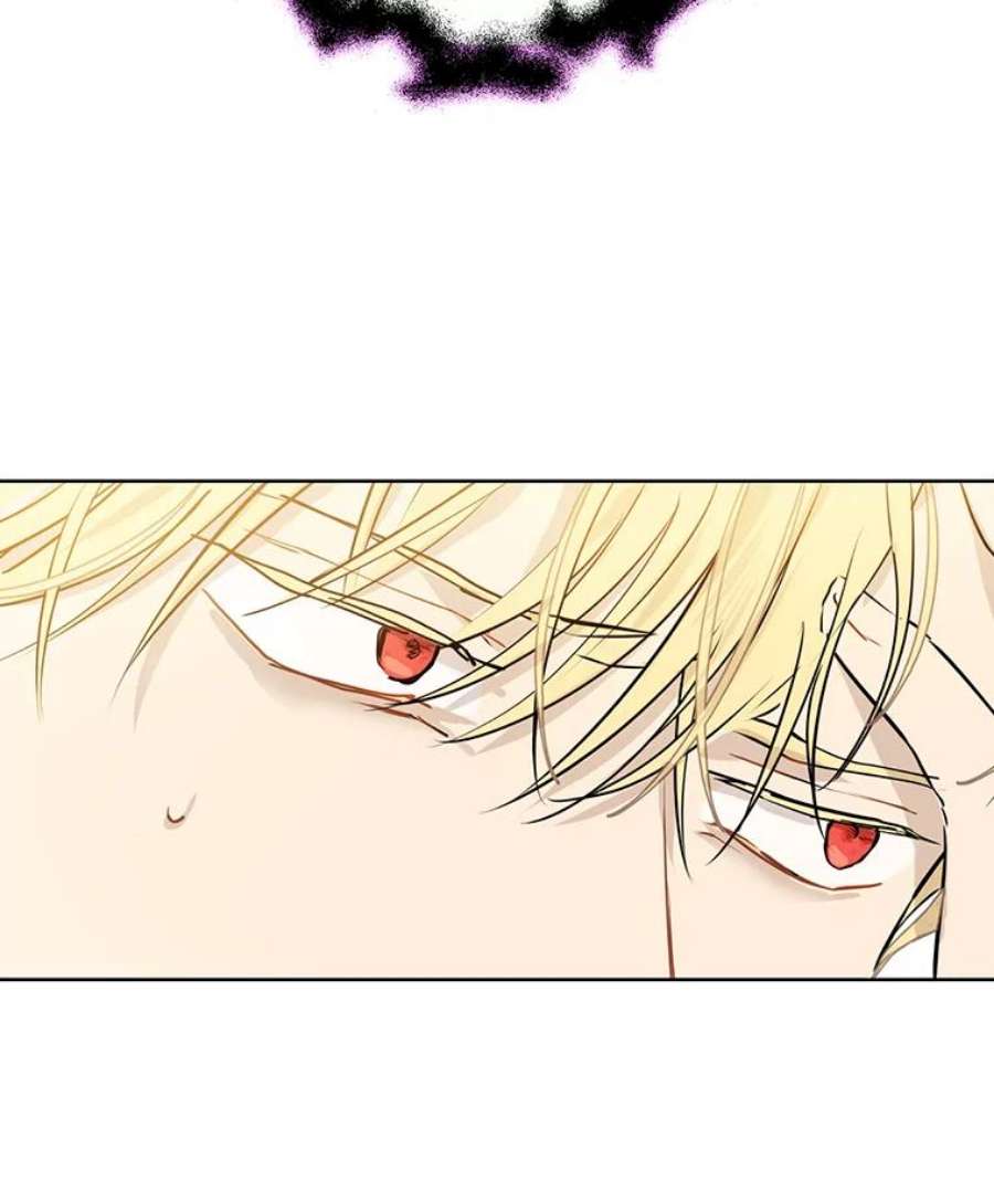 真与假的精灵师少女7.和解