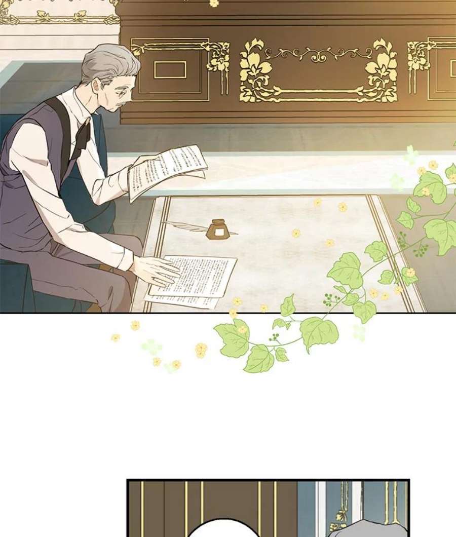 真与假的精灵师少女7.和解