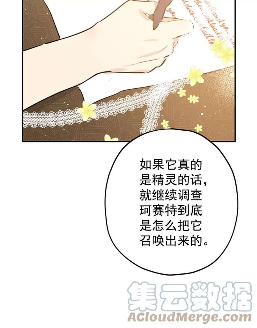 真与假的精灵师少女7.和解