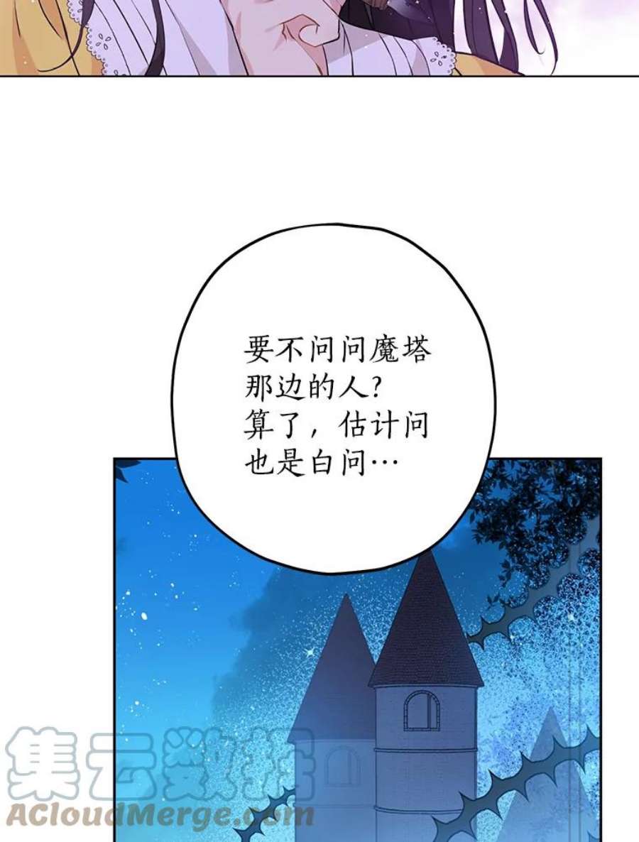 真与假的精灵师少女7.和解