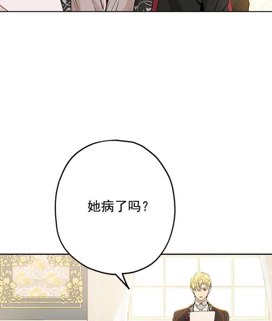 真与假的精灵师少女7.和解