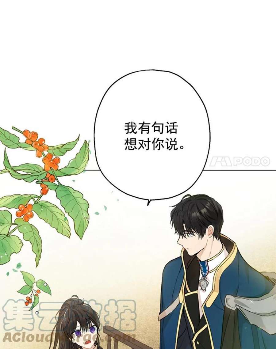 真与假的精灵师少女7.和解