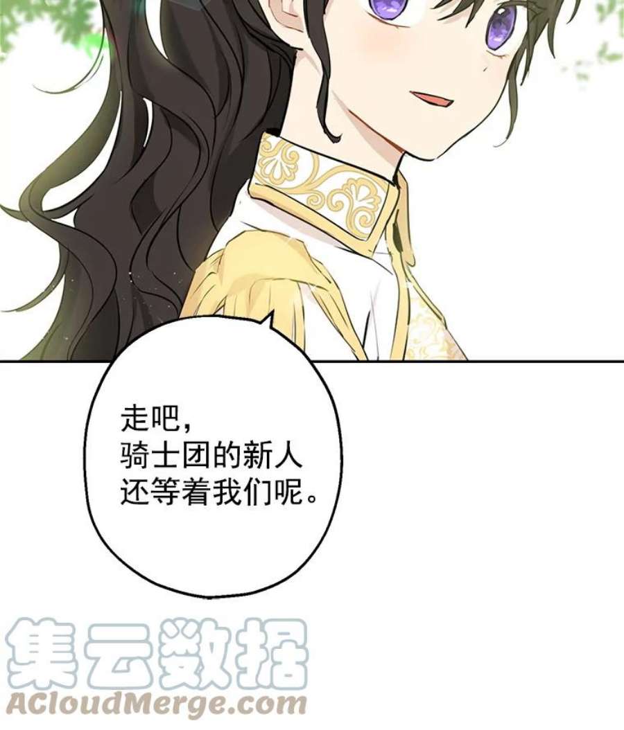 真与假的精灵师少女8.凯拉和骑士团