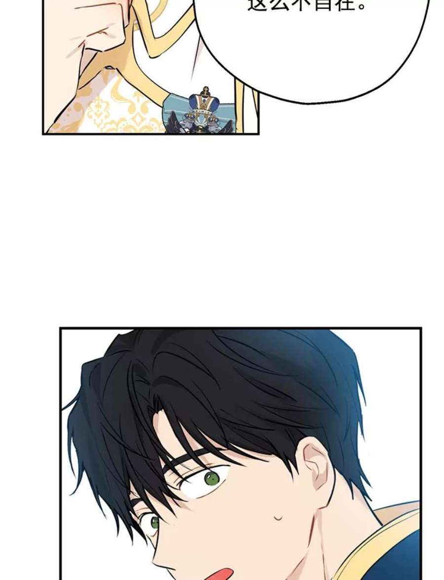 真与假的精灵师少女8.凯拉和骑士团