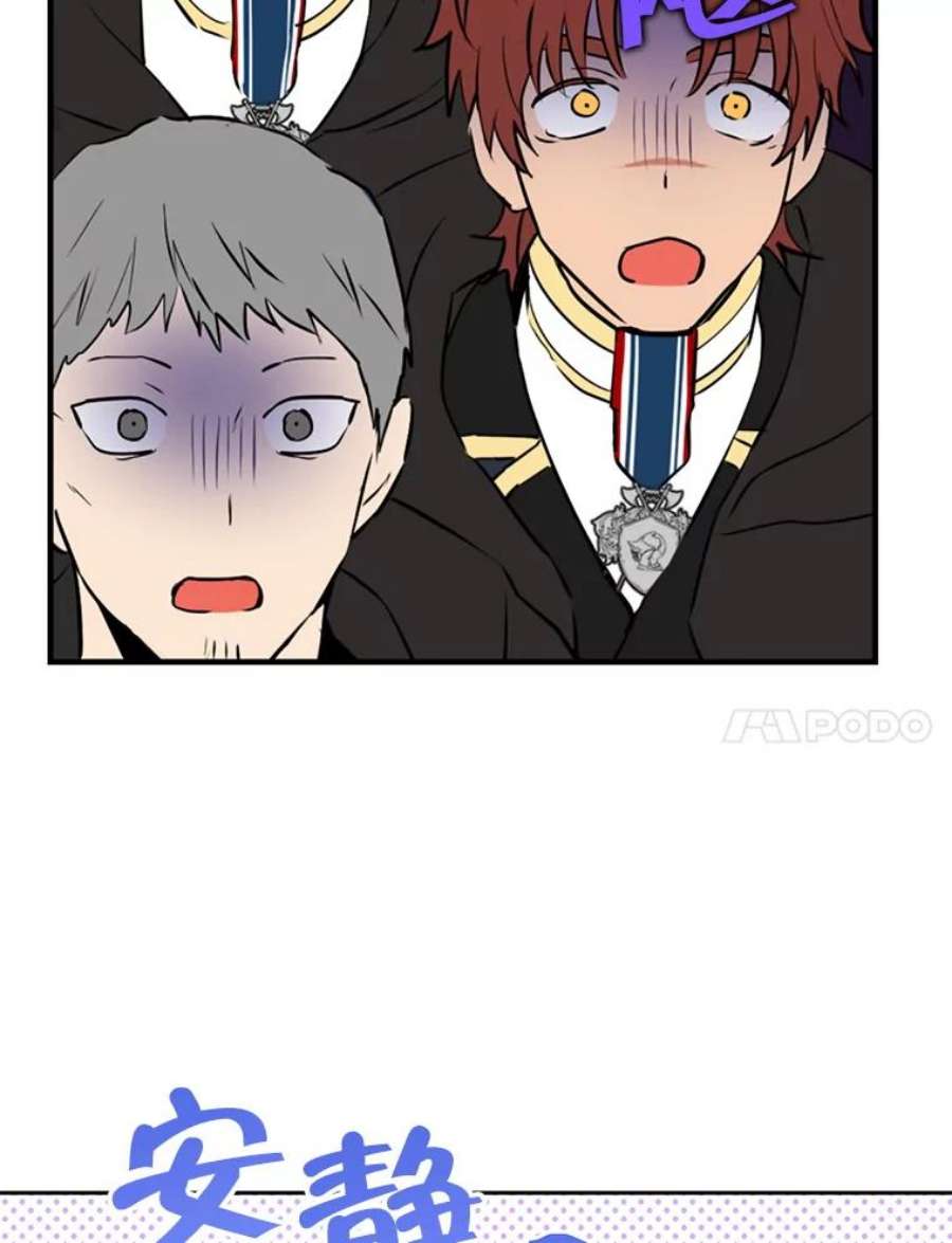 真与假的精灵师少女8.凯拉和骑士团