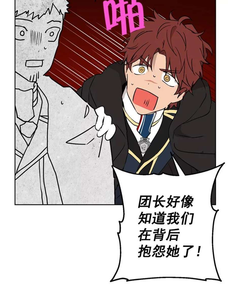 真与假的精灵师少女8.凯拉和骑士团