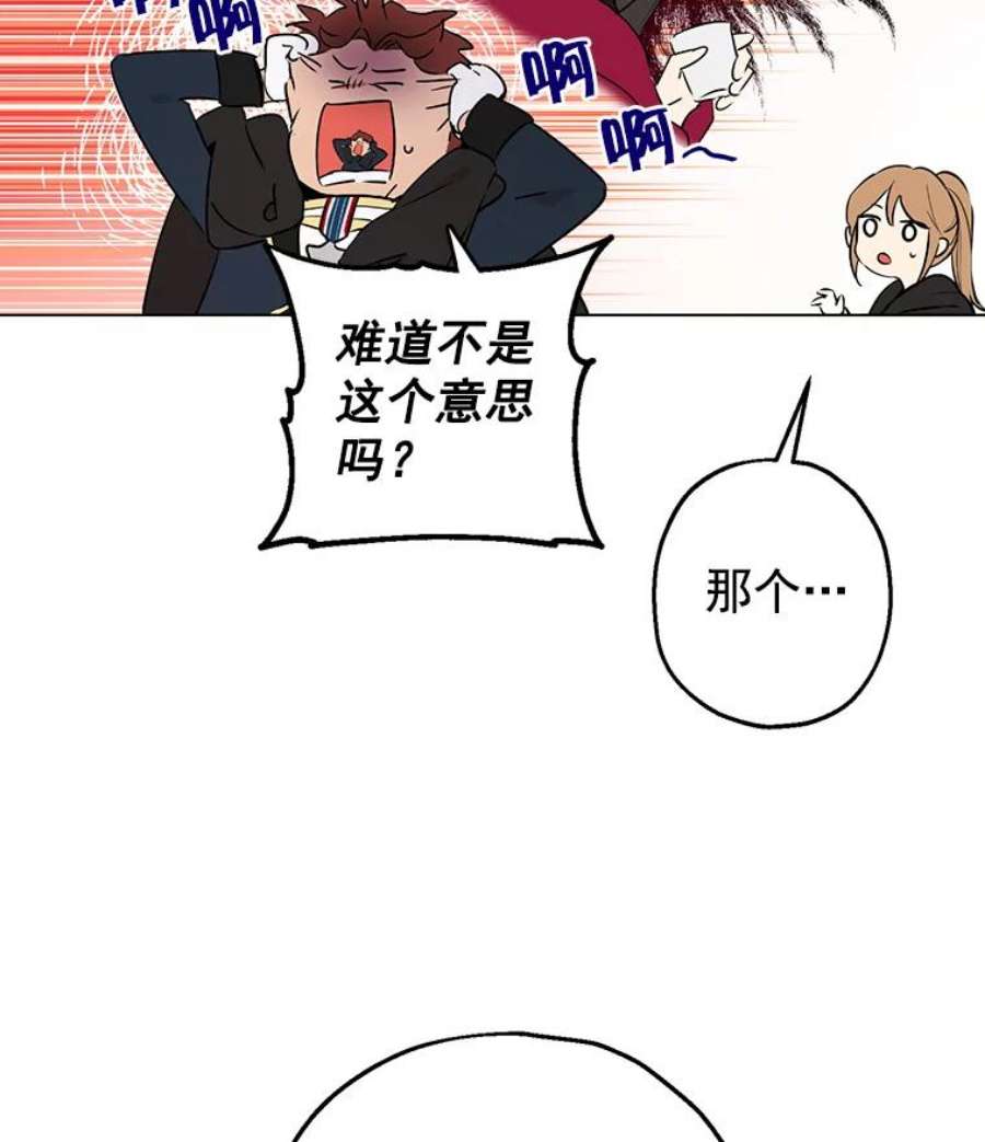 真与假的精灵师少女8.凯拉和骑士团