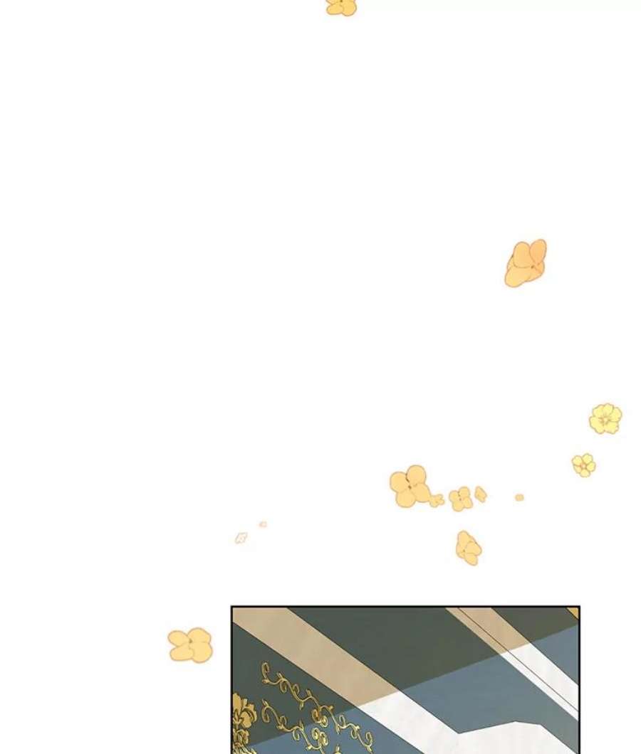 真与假的精灵师少女8.凯拉和骑士团