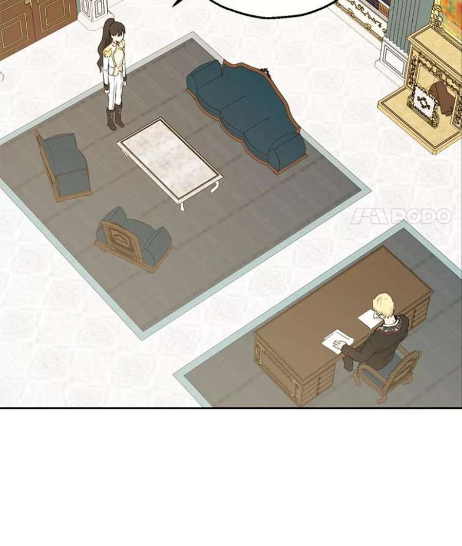 真与假的精灵师少女8.凯拉和骑士团