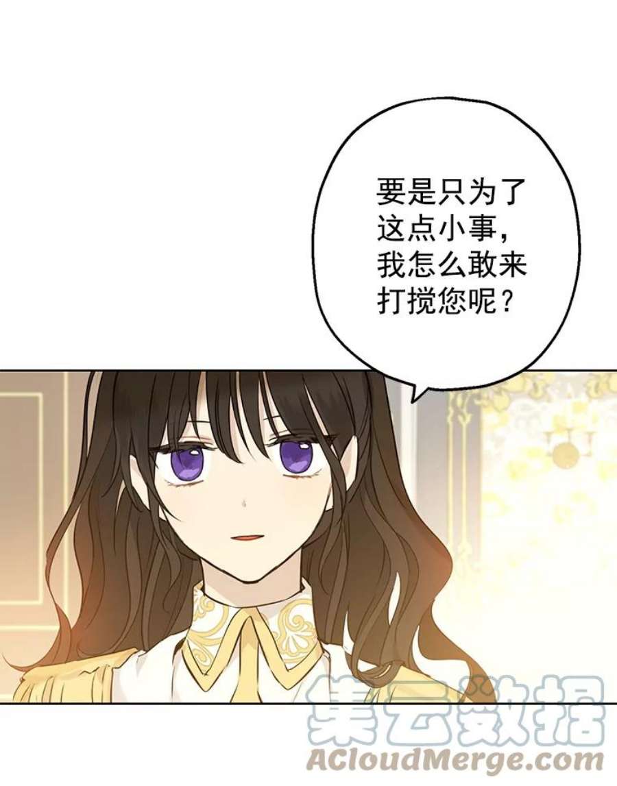真与假的精灵师少女8.凯拉和骑士团
